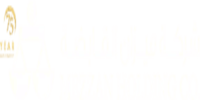 Mezzan